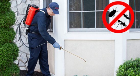 Kula Tahtakurusu İlaçlama böcek ilaçlama ve haşere kontrolü — ilaclama-tr.com